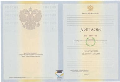 Диплом АГУ 2010-2011 годов